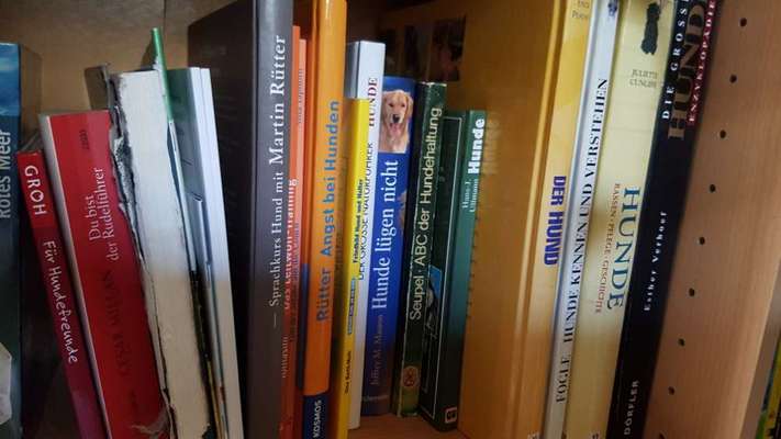 Hunde-Fachliteratur-Beitrag-Bild