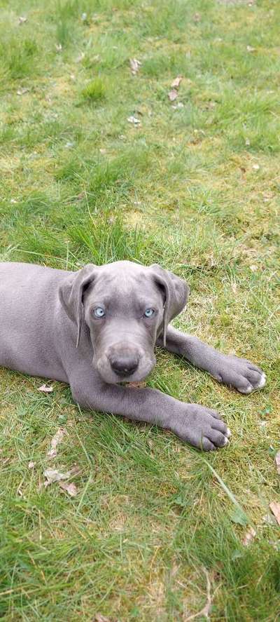 Zeigt mal eure besten Freunde-Beitrag-Bild