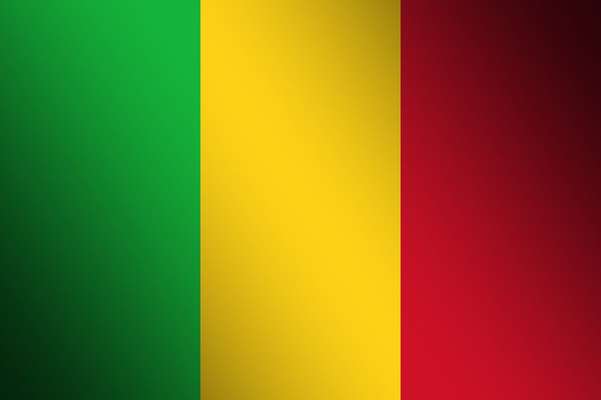 Wie heißt dein Hund?-Beitrag-Bild