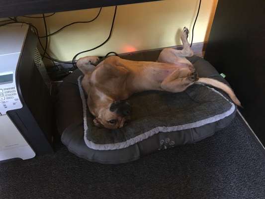 Zeigt her...-Beitrag-Bild