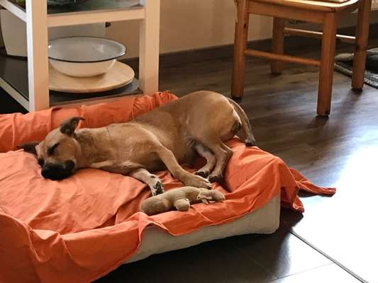 Foto Challenge Nr. 134-Beitrag-Bild