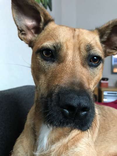 Zeigt eure Portraits-Beitrag-Bild