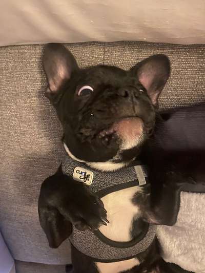 Her mit dem Grimassen-Beitrag-Bild