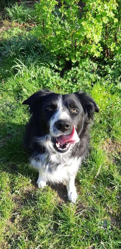 "Die eingefangene Magie des Augenblicks"-Beitrag-Bild