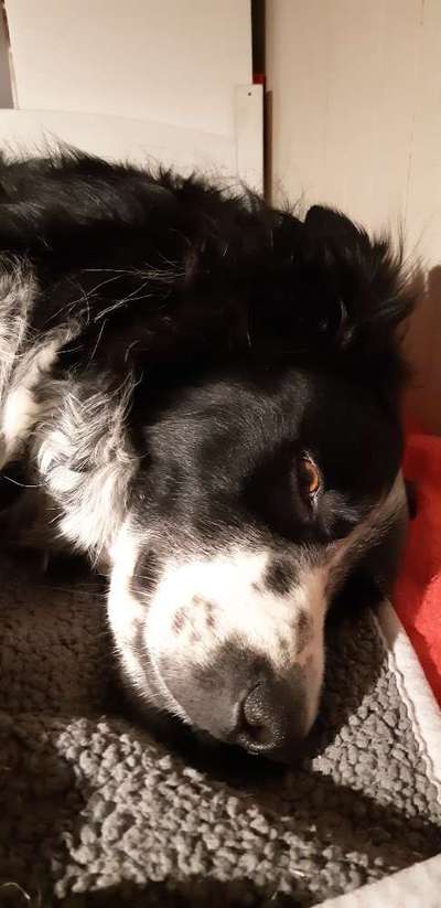 Gemeinsames Kuscheln im Bett!-Beitrag-Bild