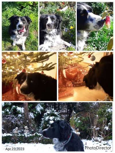 32. Collagen Challenge - eure liebsten gestellten Fotos-Beitrag-Bild