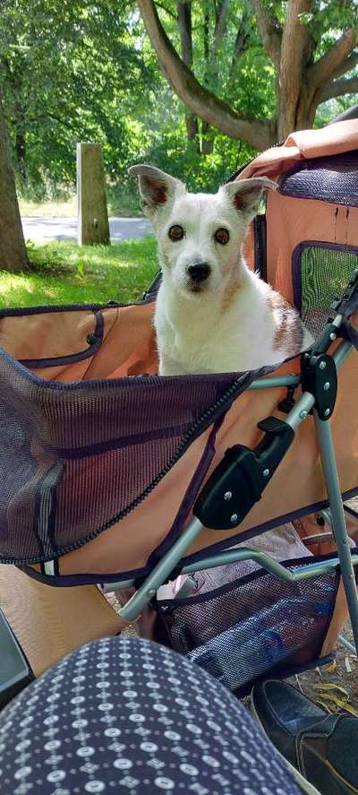 Starke Unruhe-Beitrag-Bild