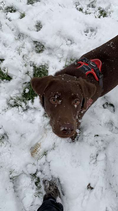 Verspielt-Beitrag-Bild