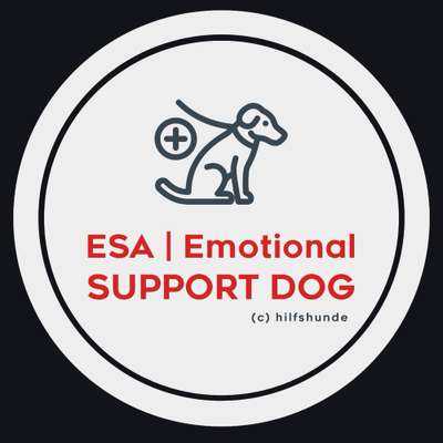 Hundeschulen-Emotional Support Animal (Dog)-Bild