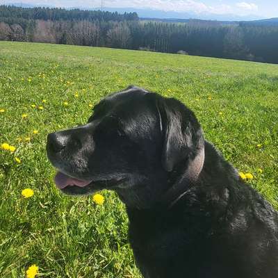 Klaudia's Profilbild