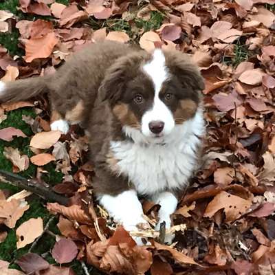 Fotochallenge No. 26                                     Wald und Wiese-Beitrag-Bild