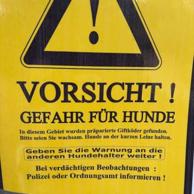 Giftköder-Giftköder am Bachlauf-Bild