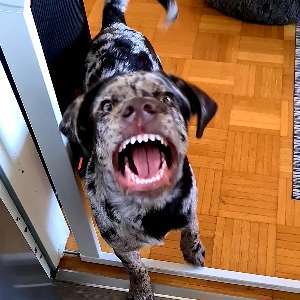 26. Handy Foto Challenge-Beitrag-Bild