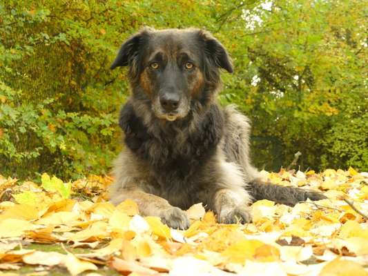 Fotochallange Nr. 57     PORTRÄT.   Beendet!!!!!!!!-Beitrag-Bild