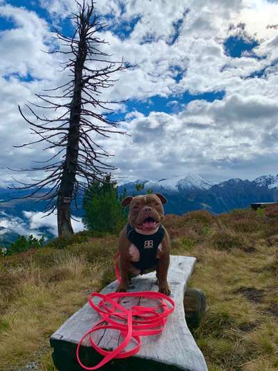 Fotochallenge Nr 107-Beitrag-Bild