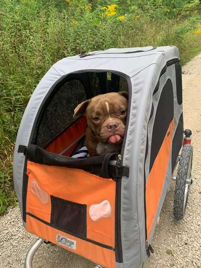 CHALLENGE NR. 18 - ON TOUR-Beitrag-Bild