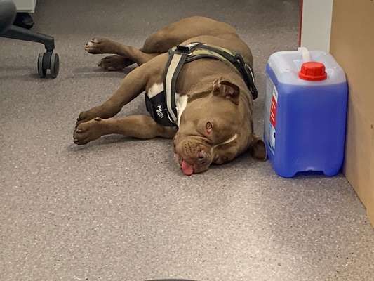 Zeigt her...-Beitrag-Bild