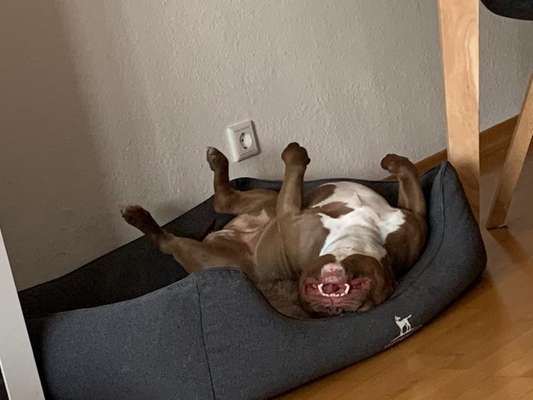 CHALLENGE NR. 34 - Liege-/Schlafpositionen-Beitrag-Bild