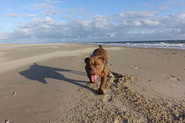 Eure Strandbilder :)-Beitrag-Bild