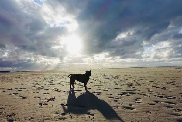 SonnenSTRAHLEN-Beitrag-Bild