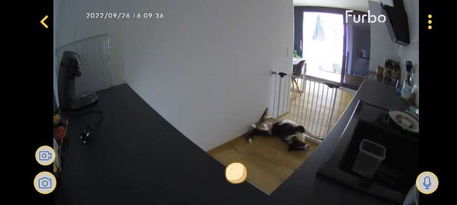 Allein zu Hause-Beitrag-Bild