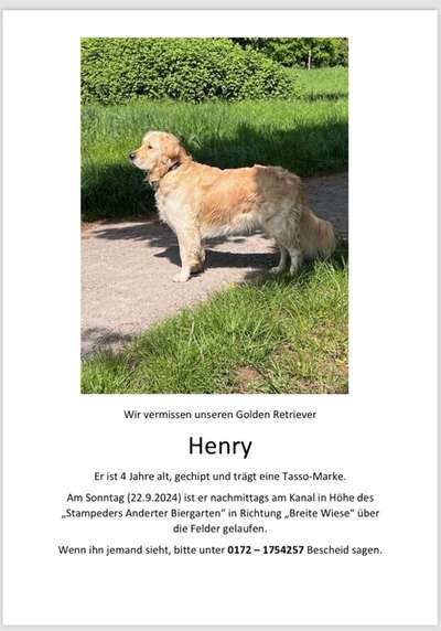 Suchmeldung-Henry-Bild