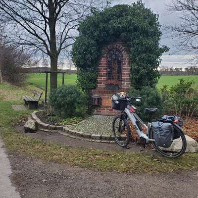 Hundetreffen-Ebike-Touren mit Hund (im Körbchen)-Bild