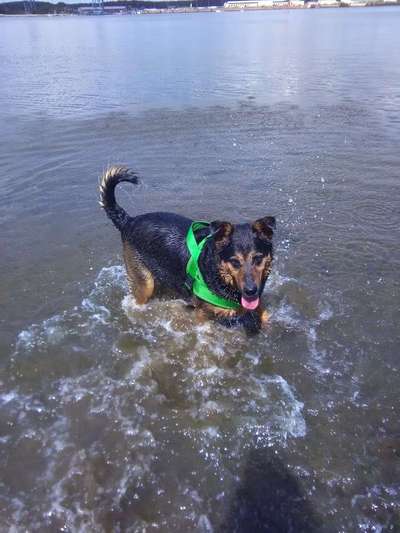 Fotochallenge 27-Beitrag-Bild