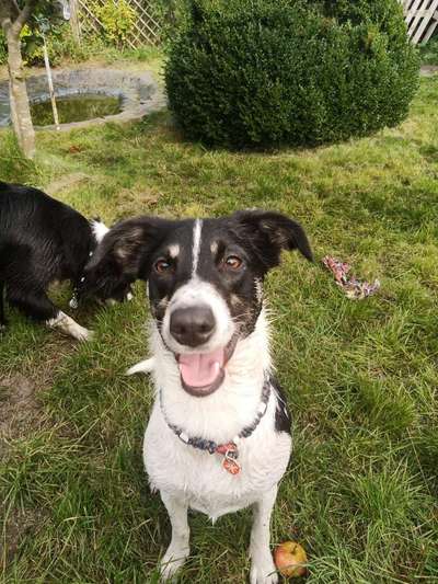 Lieblingsbild :D-Beitrag-Bild