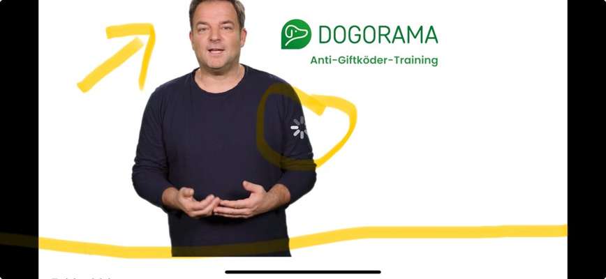 Deine Fragen zum Dogorama Club-Beitrag-Bild