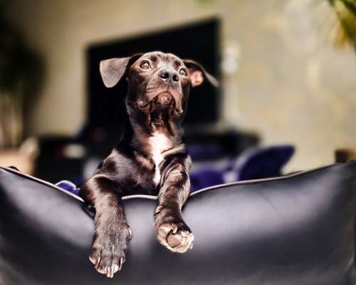 120. Fotochallenge-Beitrag-Bild