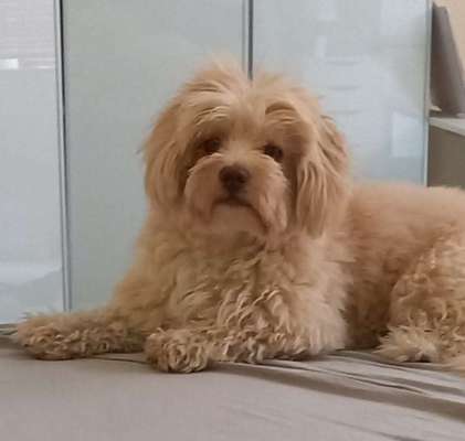 Doppelgänger gesucht !-Beitrag-Bild