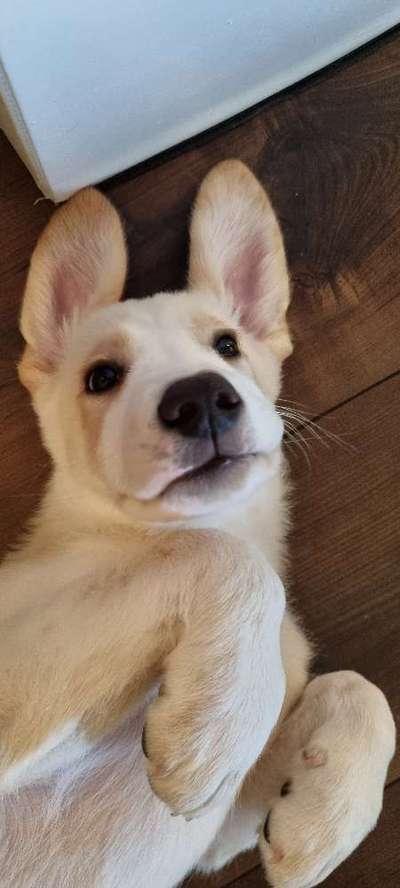 Handy-Foto Challange Nr. 10-Beitrag-Bild