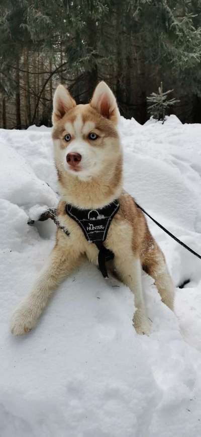 Fotochallenge Nr. 67: Euer Lieblingsbild-Beitrag-Bild