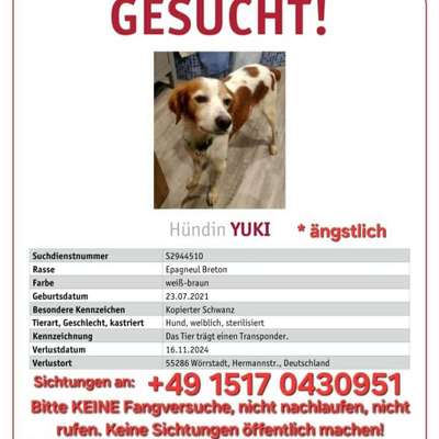 Suchmeldung-Yuki-Bild