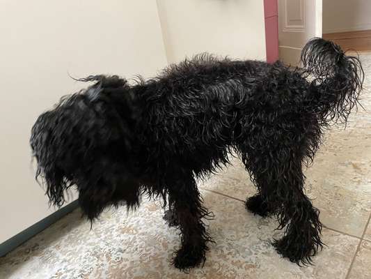 Der Gewichts-Thread-Beitrag-Bild