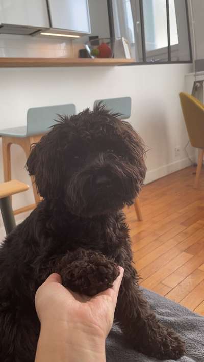 Fotochallenge Nr. 62 Romantische Momente-Beitrag-Bild