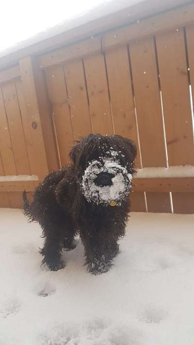 Fotochallenge 61 ~ Schnee-Beitrag-Bild