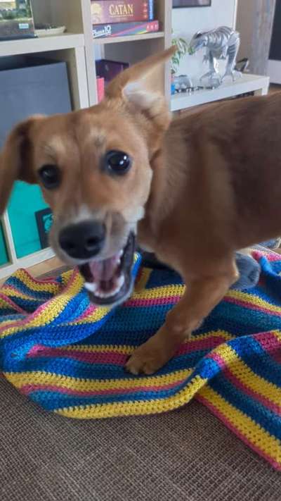 FOTO CHALLENGE Thema ,,durchdrehen"-Beitrag-Bild