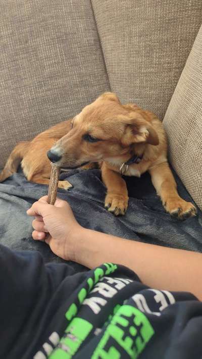 152. Foto Challenge: "Friss mir aus der Hand"-Beitrag-Bild