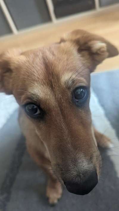 150. Foto Challaenge:  Die Augen, der Spiegel der Seele-Beitrag-Bild