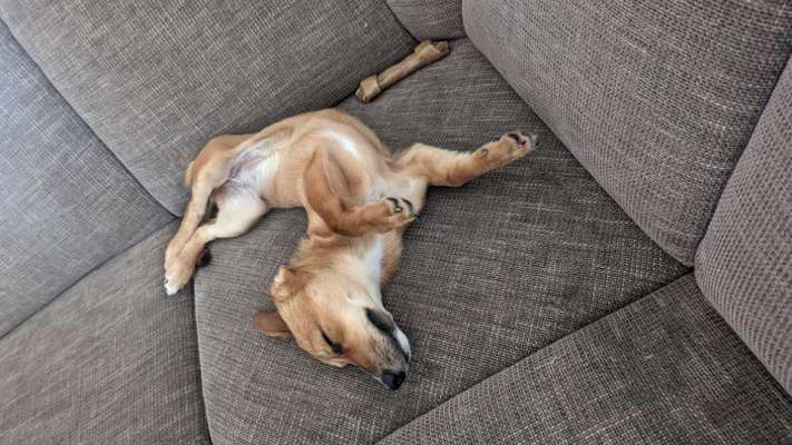 Foto Challenge - Zeigt her eure Bäuche-Beitrag-Bild