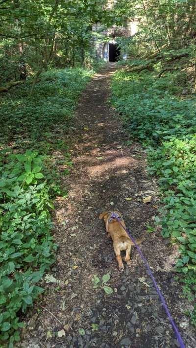 151. Photo Challenge: Sehenswürdigkeiten-Beitrag-Bild