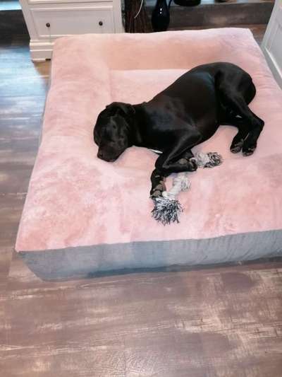 Erfahrung mit Wolkenbett-Beitrag-Bild