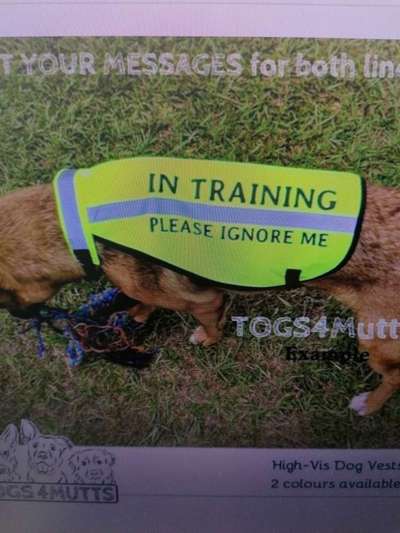 Jeder möchte zu meinem Welpen-Beitrag-Bild