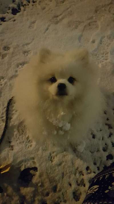 Handyfoto Challange  - Winter,Schnee-Beitrag-Bild