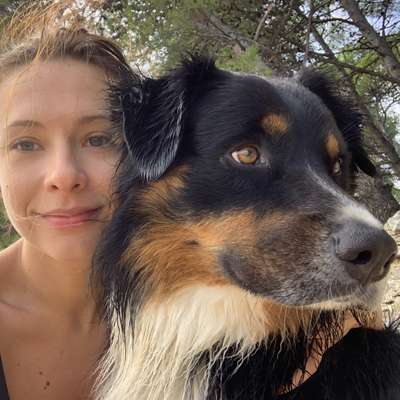 Hundetreffen-Play date in Friedrichshain-Profilbild