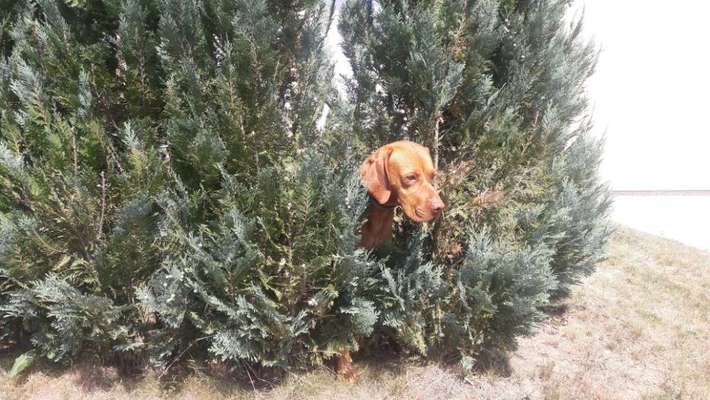 121. Fotochallenge-Beitrag-Bild