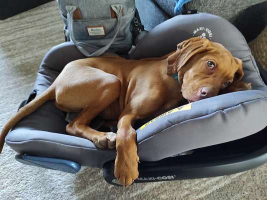 121. Fotochallenge-Beitrag-Bild