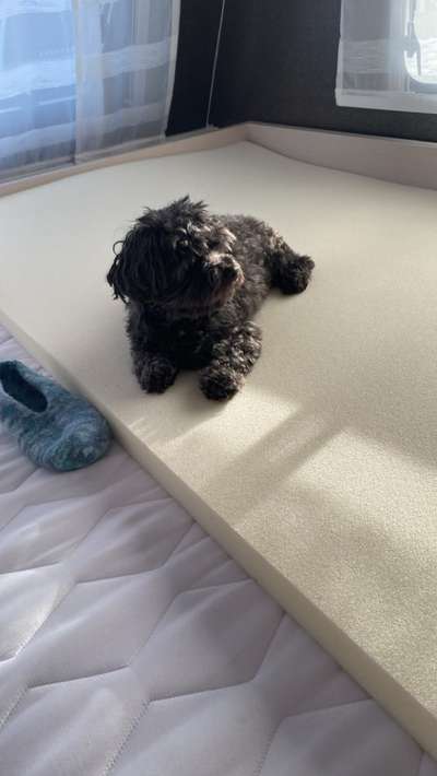 Erbrechen und Bauchweh-Beitrag-Bild